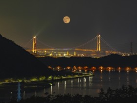 푸른 용, 갑진년 ‘정월대보름’엔 ‘광양’으로 달 보러 가요