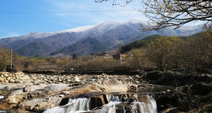 구례 산동 반곡마을 눈덮힌 만복대...산수유꽃 개화