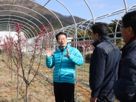 강진원 강진군수, 청자축제장 현장 점검 나서