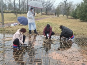 광양시, 쾌적한 공원조성을 위해‘도시공원관리단’운영