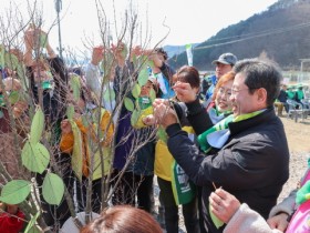 광양시, 푸른 광양 만들기 선포..나무 심고 가꾸기로 탄소중립 실천