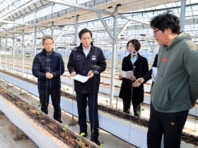 우승희 영암군수, 도포면 멜론 딸기 재배 농가 방문