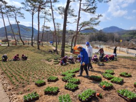 화순군, 고인돌 봄꽃 축제 준비 한창