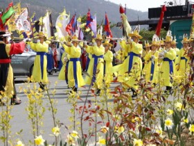 전라병영성·금곡사 벚꽃축제 ‘강진 관광’ 명성 재확인