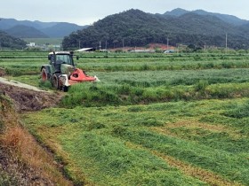 나주시, 조사료 생산비 보전지원 … 3년간 21억원 투입