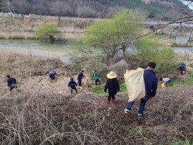 장흥 용산면, “남상천 꽃 보러 오세요” 환경정화 실시