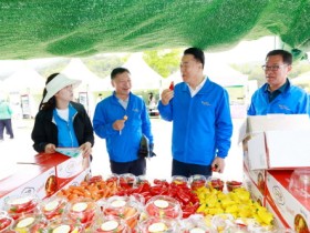 도곡의 맛과 볼거리 향연