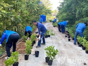 나주시, ‘한반도 전망대’ 수국꽃 6월에 만나요