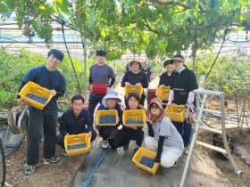 장흥 장평면, ‘블루베리 수확’ 농촌 일손돕기 나서