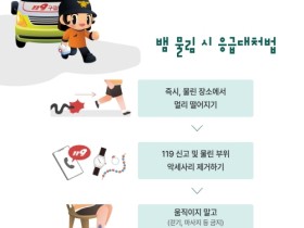 뱀에 물렸을 때, 꽉묶거나 입으로 빨아내기 절대 금지