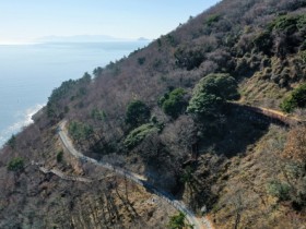 완도군, 16억 투입 ‘섬 숲 경관복원 사업’ 추진