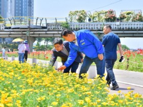 김한종 장성군수 “황룡강 길동무 꽃길축제, 안전하고 편안하게”