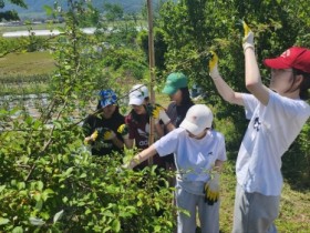 푸소 체험, 부산에서도 온다!