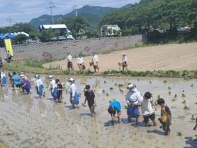 진도 지산초, ‘진도의 얼’ 우리 가락에 취하다