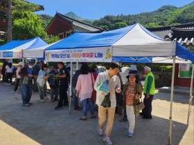 구례군, 부처님 오신 날‘부처꽃·원추리·국화묘’나눔 행사 가져