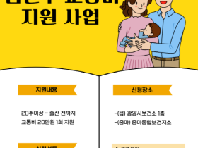 광양시, 임신부 대상 교통비 20만 원 지원