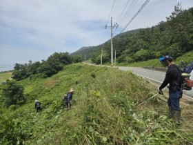 완도군, 주요 도로변 덩굴 집중 제거사업 추진