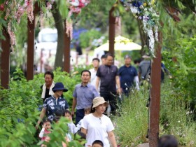 “물, 숲, 강진의 여름속으로”  강진 제2회 수국길 축제 개장식 성료