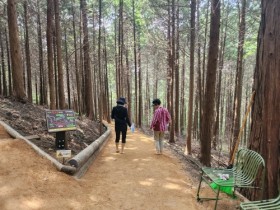 장흥군, 억불산 산림욕장 황톳길 ‘맨발걷기’ 인기