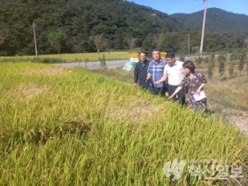 최명수 전남도의원, 벼멸구 피해 현장에서 주민 간담회 개최