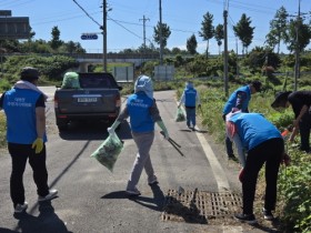 함평군 대동면, 꽃무릇축제·추석 앞두고 일제대청소 실시