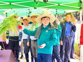 여수시, ‘벼농사 종합평가회’ 열어 1년 작황 분석