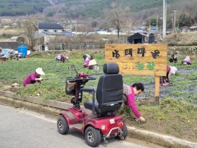 곡성군 죽곡면 삼태마을, ‘마을 공동체 사업’ 최우수상 수상